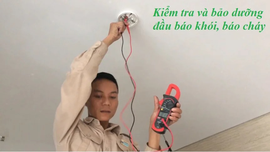 Bảo trì và sửa chữa thiết bị PCCC Bảo trì và sửa chữa thiết bị PCCC